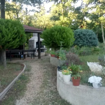 Andjel Lejlighed Poreč