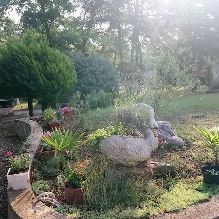 Andjel Appartement Poreč
